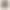 RAL kleuren RAL 8003 Leembruin