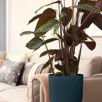Elho Vibes Fold Bloempot Ø 35 cm met Wielen