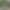 board: Forest Green - Fam. de Jong